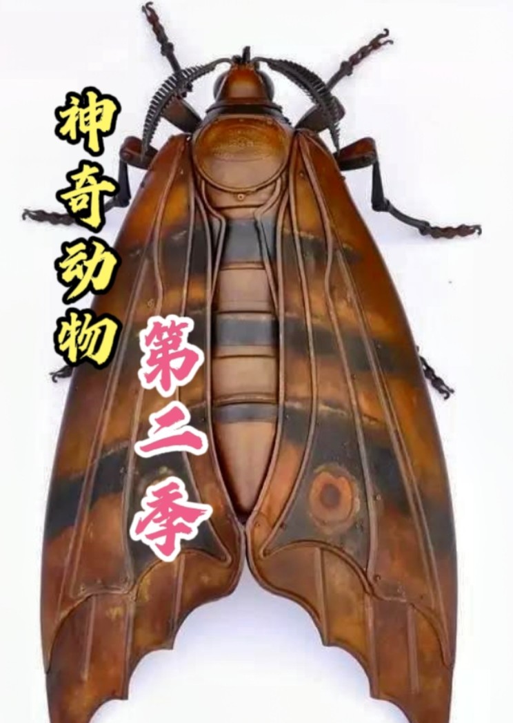 神奇动物}