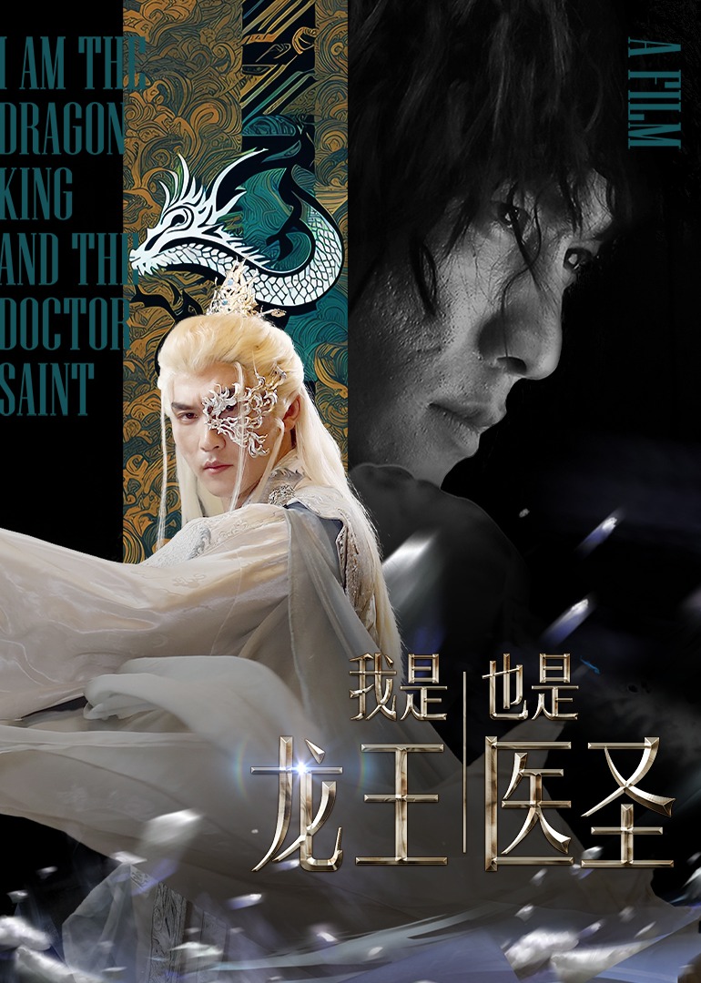 我是龙王也是医圣 海报