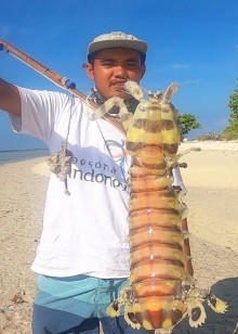 国外赶海抓皮皮虾泥滩红树林抓青蟹出海捕捞鱼群