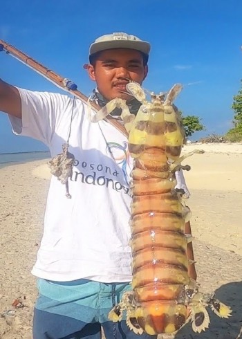 国外赶海抓皮皮虾泥滩红树林抓青蟹出海捕捞鱼群封面图