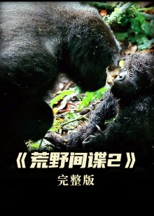 史上最真实的拍摄机器间谍的造型惊呆了观众荒野间谍