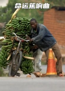 人间真实纪录片