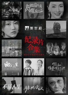 新世相纪录片海报