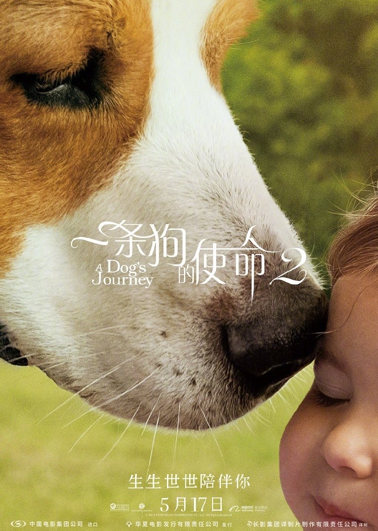一条狗的使命2原声版