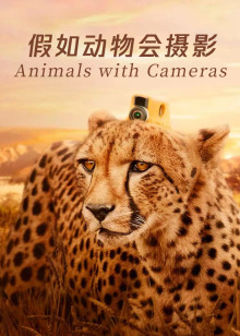 假如动物会摄影英语