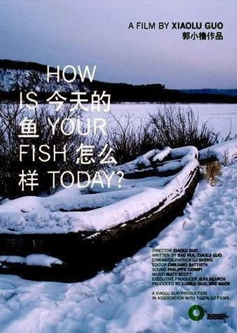 今天的鱼怎么样?