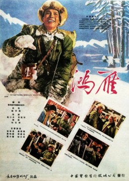 鸿雁（1960）