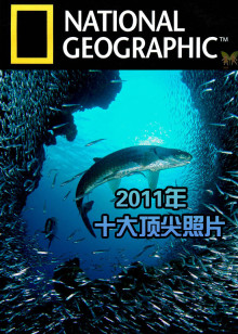 十大顶尖照片海报