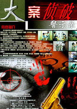 大案侦破警示录