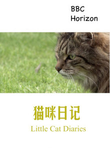 猫咪日记海报