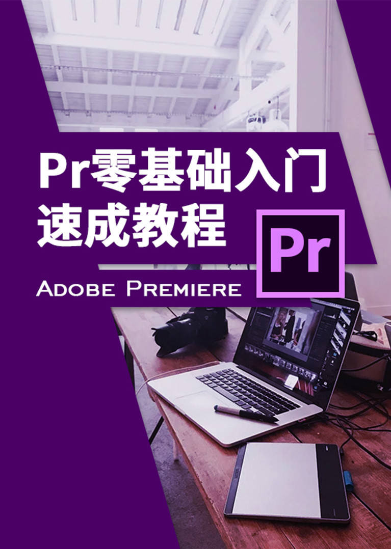 pr零基础入门速成教程