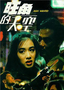 旺角的天空3之终极边缘