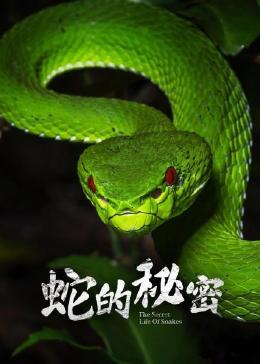 蛇的秘密