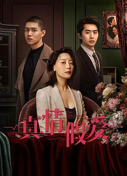 真情假爱2023