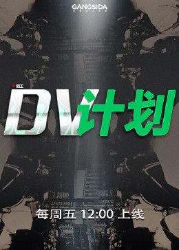 DV计划