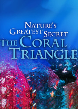 大自然最大的秘密：珊瑚三角区