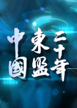 中国东盟二十年