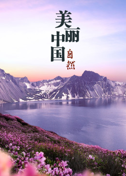 《美丽中国之秘境广西》0:35:45时 间:2016-06-22纪录片美丽中国第2集