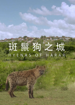 斑鬣狗之城纪录片简 介:斑鬣狗是一种食肉动物,性情较为凶猛,善于捕猎