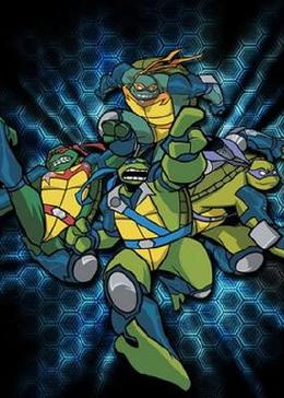 忍者神龟 03年版