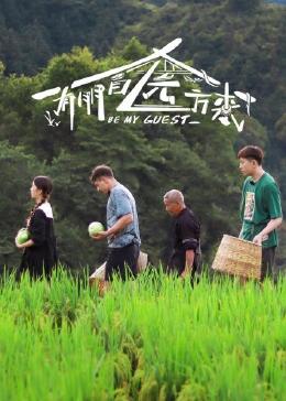 有朋自远方来免费观看