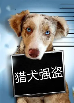 猎犬强盗
