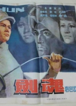 [图]剑魂(普通话/原版/1981)电影