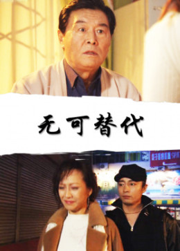 无可替代2006