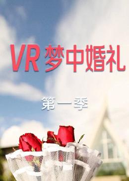 VR梦中婚礼 第一季