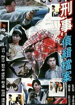 [图]刑事侦缉档案(普通话/1995)电视剧