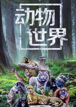 动物世界