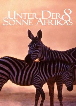 走进非洲8：蓬勃的生命