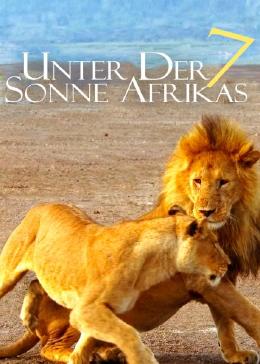 走进非洲7：拂晓之狮