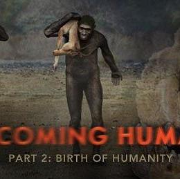 人类进化2.0