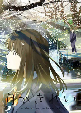 月色真美封面图