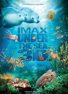 ‘~海底世界3D 海底猎奇,海底世界3D HD电影完全无删版免费在线观赏_纪录片_  ~’ 的图片