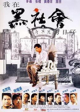 我在黑社会的日子