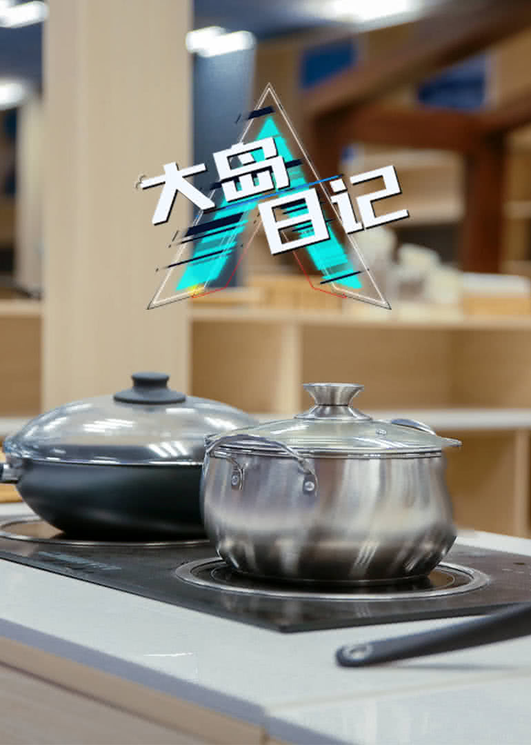 大岛日记 高清海报图 - 在线观看综艺