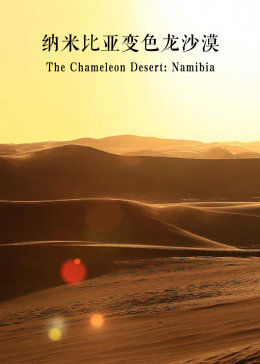 纳米比亚变色龙沙漠