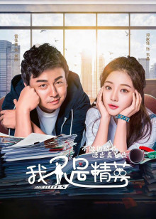 我不是精英封面图