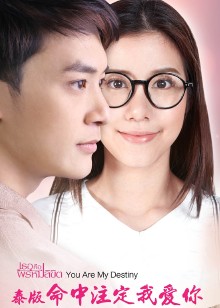 命中注定我爱你泰国版普通话