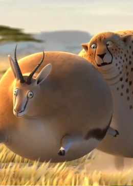 圆滚滚的动物世界