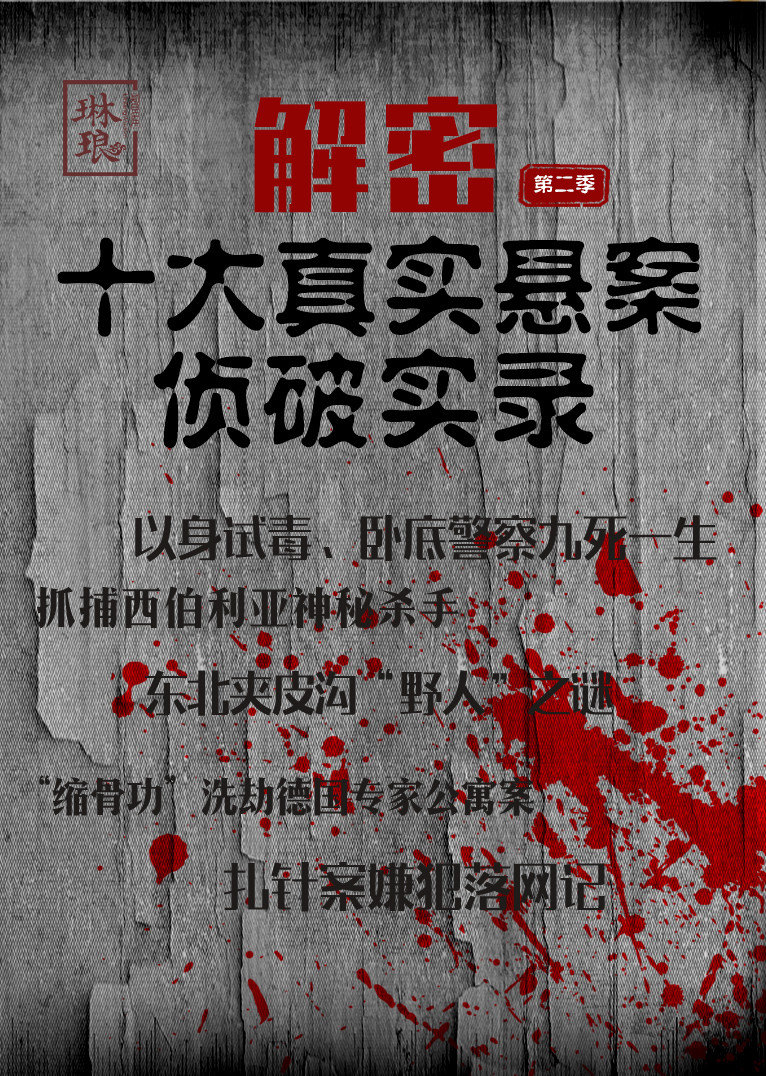 解密十大真实悬案侦破实录第二季