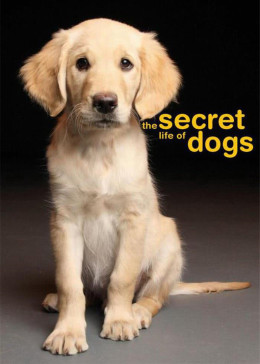 狗的秘密生活