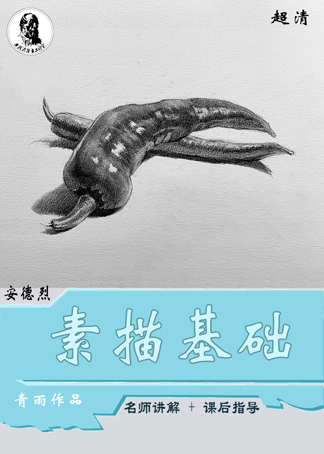 零基础素描入门静物青雨素描
