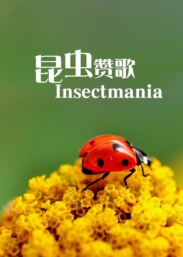 昆虫赞歌insectmania纪录片