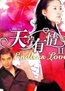 天若有情第二季