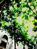 绝命日记