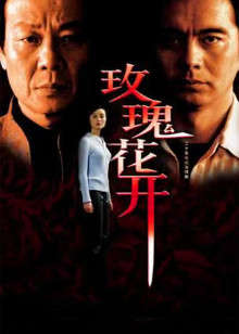 玫瑰花开