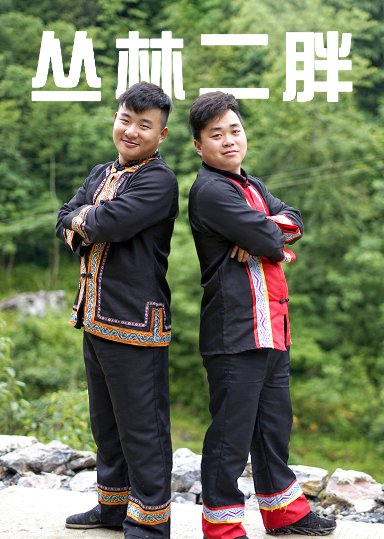 丛林二胖